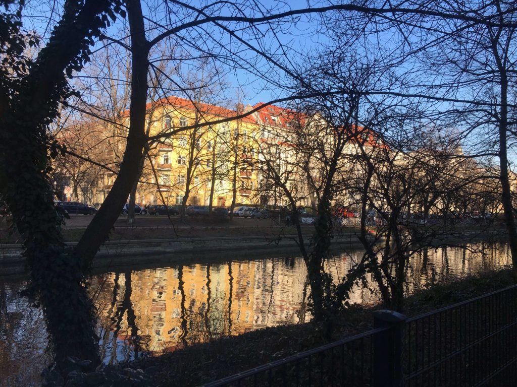 a canal in Neukölln with a big tree with long branches and buildings on the other side of the canal