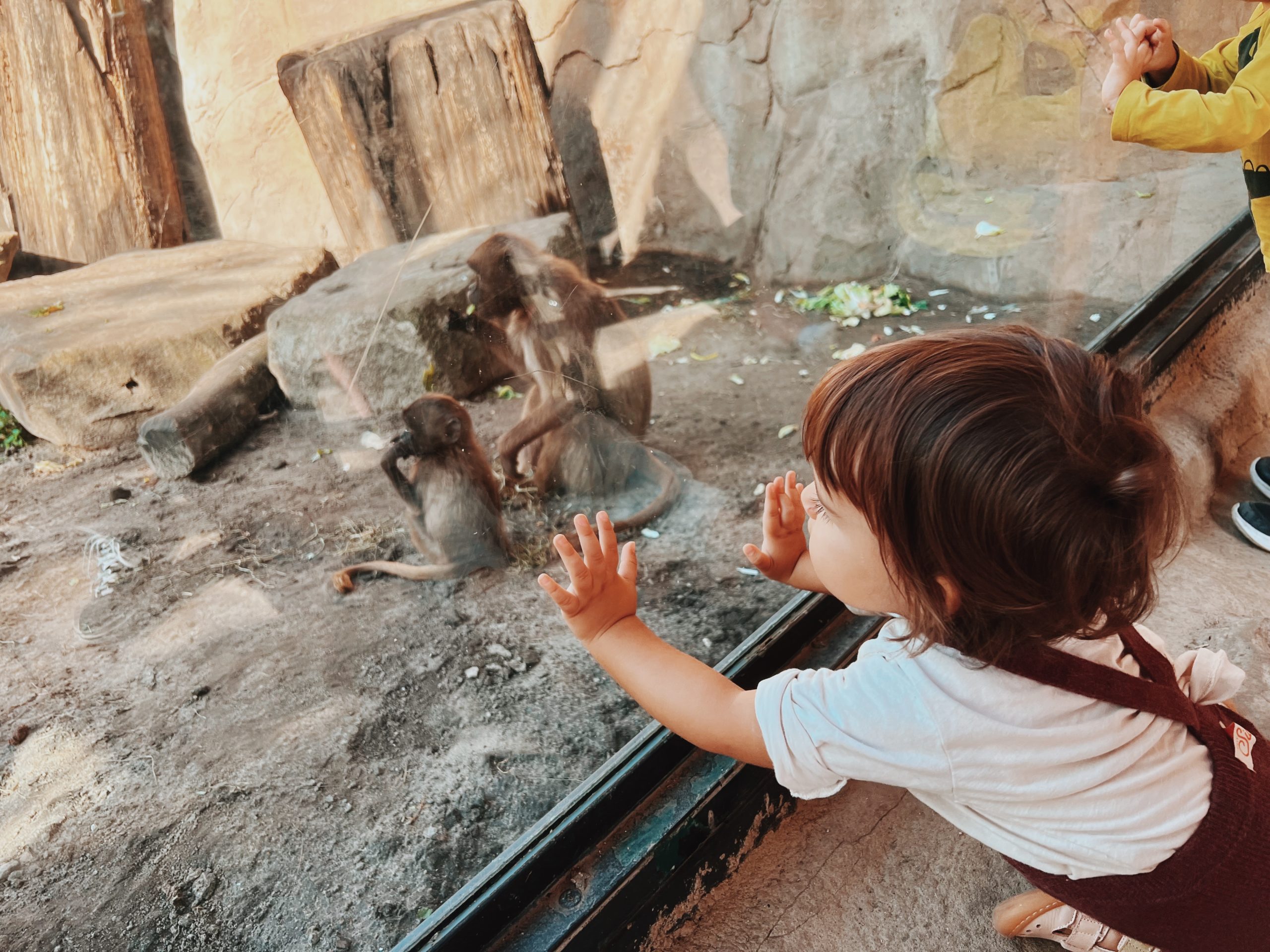 Tierpark Berlin: A Perfect Day Out for Families