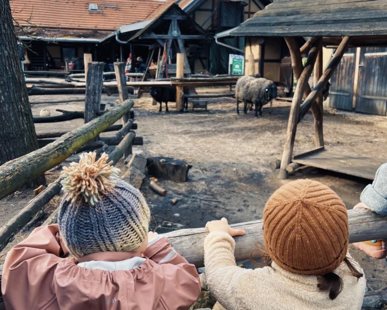 children looking at farm animals